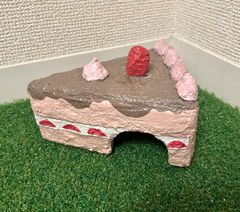いちごチョコのケーキシェルター