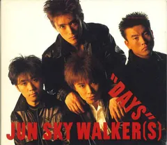 ☆『ジュンスカイウォーカーズ パネルポスター』☆ JUN SKY WALKER(S) ポスター 切り抜き ジュンスカイウォーカーズ