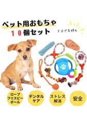 Item thumbnail for item 6d302b8c-0a1b-41c5-916e-5911114dd790