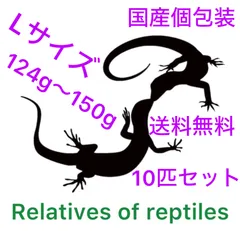 2025年最新】冷凍 ラットの人気アイテム - メルカリ