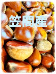 茨城県産【笠間の栗】1kg