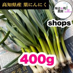 高知県産【高級食材♪葉ニンニク】400g 産地直送！ 即購入OKです。 - メルカリ