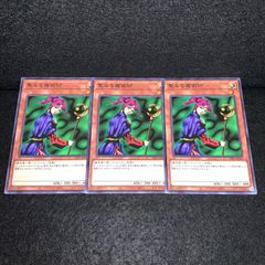 1 遊戯王 ゲートボール 聖なる魔術師 2期ノーマル2枚セット04環境05