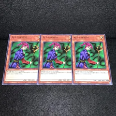 2025年最新】聖なる魔術師の人気アイテム - メルカリ