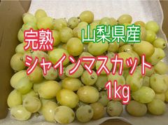 完熟シャインマスカット 粒 1kg