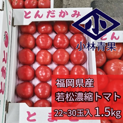 【数量限定品】福岡県産　若松濃縮トマト　1.5kg（22～30玉） 濃縮トマト　若松トマト　トマト