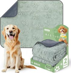 Item thumbnail for item 688caf1b-8111-49ae-8ecb-cf8e48c0bd94