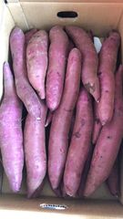 むらさき芋  紫芋5kg