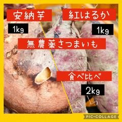 【2021秋】2kg 安納芋紅はるか ハーフset【無農薬野菜】