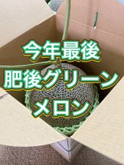 肥後グリーンメロン　特大1玉入り