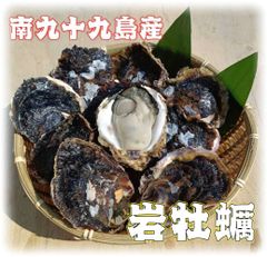 【長崎県南九十九島産】岩牡蠣　Sサイズ　20個セット【生食用】