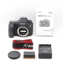 ＜美品＞キヤノン Canon EOS 6D Mark II ボディ