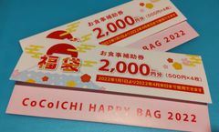 CoCo壱　ココイチ福袋　お食事補助券4000円　トートバッグ2個★