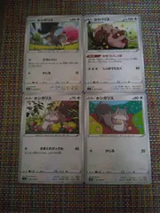ポケモンカード ホシガリス ヨクバリス まとめ処分 S-102