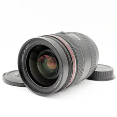 幻想的な描写が楽しめる✨クモリあり Canon EF 28-70mm Lレンズ