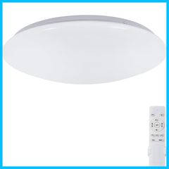 【最短発送】蛍光灯 電気 調色/調光タイプ 昼光色 おしゃれ 電球色 リモコン付き 調光タイプ 4800LM天井照明器具シーリング+ライト LED 豆球常夜灯モード メモリ機能 Φ31cm 15分/30分/60分スリープタイマー 玄関 寝室 30W（最大36W