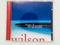 CD brian wilson / Imagination / ブライアン・ウィルソン、ビーチボーイズ / ツメカケ 国内盤 アルバム S06のサムネイル