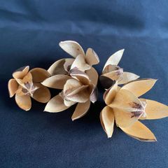 リリー　木の実　5個セット　インテリア