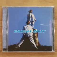 ACKEE & SALTFISH / BUSH OUT 2LP 未使用 ACKEE & SALTFISH /BUSH OUT横浜レゲエ祭レコードアキソル