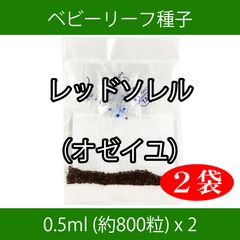 ベビーリーフ種子 B-50 レッドソレル（オゼイユ） 0.5ml x 2袋