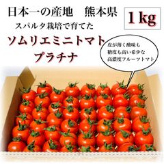 【初物】ソムリエミニトマト　プラチナ　１kg（６０玉〜９０玉）