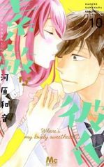 黄金の新婦(32枚セット)第1話～最終話【字幕】【全巻セット 洋画
