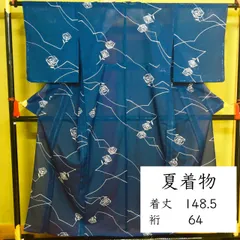 2025年最新】夏着物 絽の人気アイテム - メルカリ