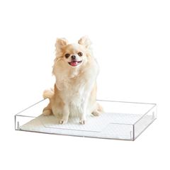 Item thumbnail for item 7559b21d-8e63-4c08-a82c-e8a2e447d5d8