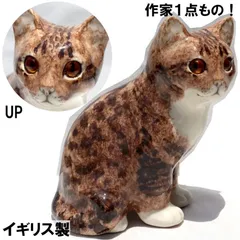 グレーと茶色の模様 が美しい約20cm ケンジントンキャット 小顔でつぶらな瞳 グレーと茶色の模様 が美しい約20cm ケンジントンキャット 小顔