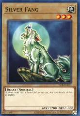 2025年最新】シルバー・フォングの人気アイテム - メルカリ