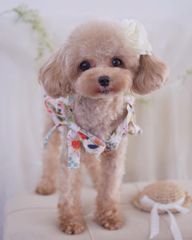 お花柄 カットソー 犬服 猫服 tシャツ 花柄 ノースリーブ タンクトップ わんこ服 ペット用品 ドッグウェア 犬の服 ペットウェア 春夏