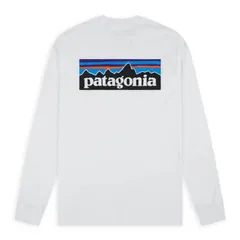 Patagonia パタゴニア M’s L/S P-6 Logo Responsibili-Tee レスポンシビリティー 38518 メンズ ロングTシャツ 長袖 新色 売れ筋アイテム