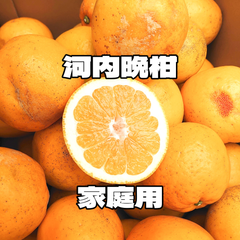 河内晩柑 家庭用 約7.5kg