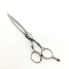 正規 MIZUTANI SCISSORS ミズタニシザーズ 美容理容師 ミズタニシザーズ ミズタニシザーMIZUTANI SCISSORS】SWORD D-19