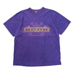 USA古着 コロンビア製 スーベニア アート Tシャツ 総柄 民族柄 ネイティブ柄 トカゲ 爬虫類 紫 パープル Lサイズ
