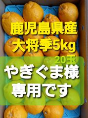 お買得‼️旬の果物【鹿児島県産】大将季デコポン(だいまさき)20玉入り