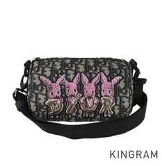 限定品　Dior ローラー　ショルダー　バック Dior ディオール アトリエ ローラー ショルダーバッグ グレー