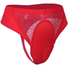 新品 変装 男の娘パンツ 下着 コスプレ Tバック 女装用 前閉じ 3色 レース 男性用 WNNKa007 カバーパンツ [JXJ]