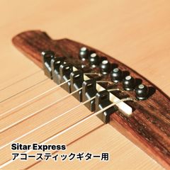 Sitar Express™ シタールエクスプレス アコギ用【2024年型】