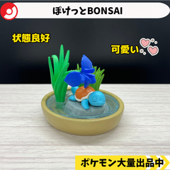 ぽけっとBONSAI  ゼニガメ　【④ ポケモン　フィギュア　リーメント】
