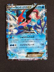 ポケモンカード ブラッキー&ダークライGX RR SM11 010/031