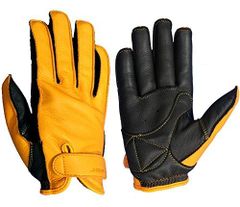 Item thumbnail for item 7876f5ea-e02f-4946-a042-c64c89e6d85d