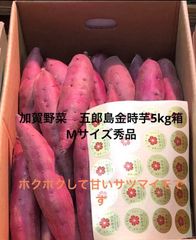 宮崎県産ブルーマンゴー【13kg】80~250g！ - メルカリ