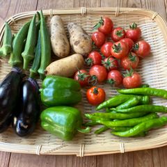 【農薬・化学肥料不使用】新鮮夏野菜カレーセット