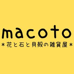 4-56風水パワーストーン アメジスト シャコガイ エアプランツ 夫婦円満