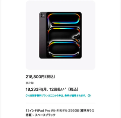 【開封済未使用】iPad Pro M4チップ 13インチ WiFi 256GB 2024 完品 スペースグレイ