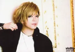 2025年最新】vistlip アーティストブックの人気アイテム - メルカリ