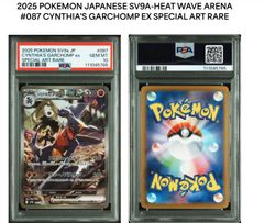 ソウブレイズex SAR PSA10 PSA10鑑定済〕ソウブレイズex【SAR】{203/187}