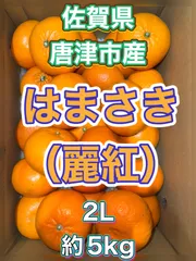 北海道沖縄離島追加送料無し 佐賀県産希少みかん《はまさき.麗紅》2L箱込み約5kg