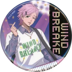 【中古】バッジ・ビンズ 桐生三輝(上半身) 「WIND BREAKER トレーディング缶バッジ バンド」